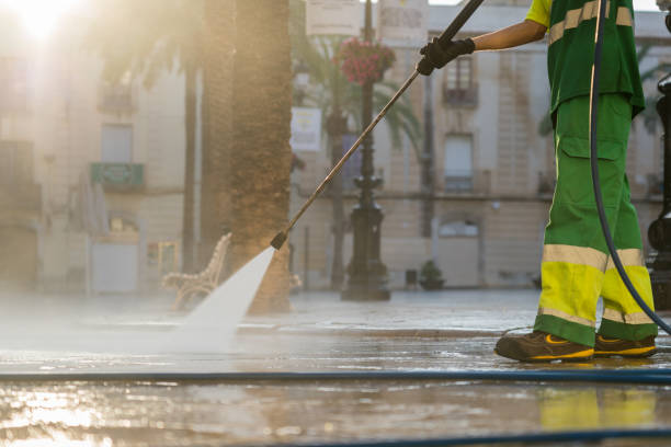 Roof Power Washing Services in Philo, IL